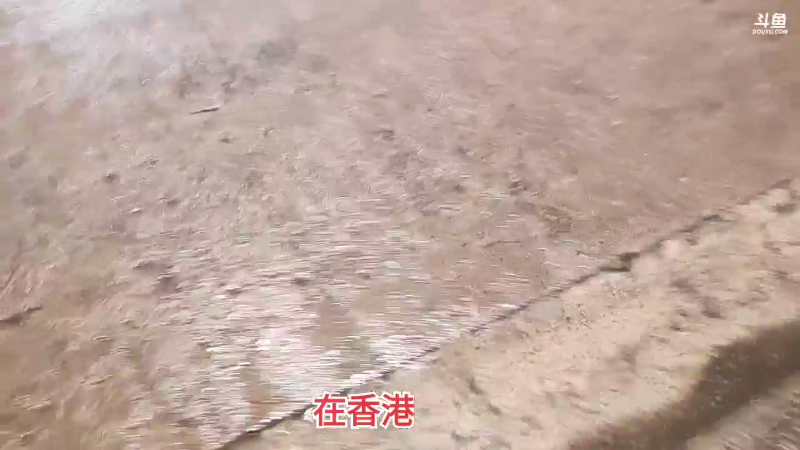 【格斗游戏】魔都洪斌的精彩时刻 20230619 02点场