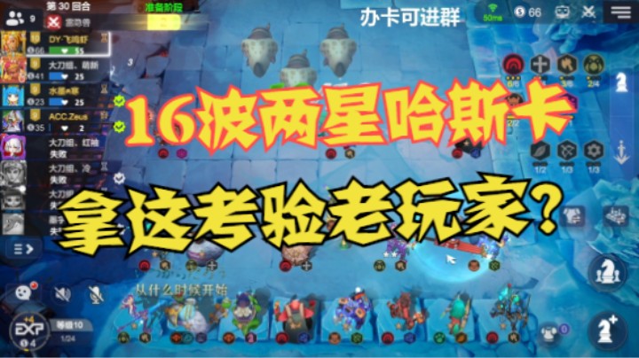 16波2星哈斯卡——你就拿这来考验老玩家