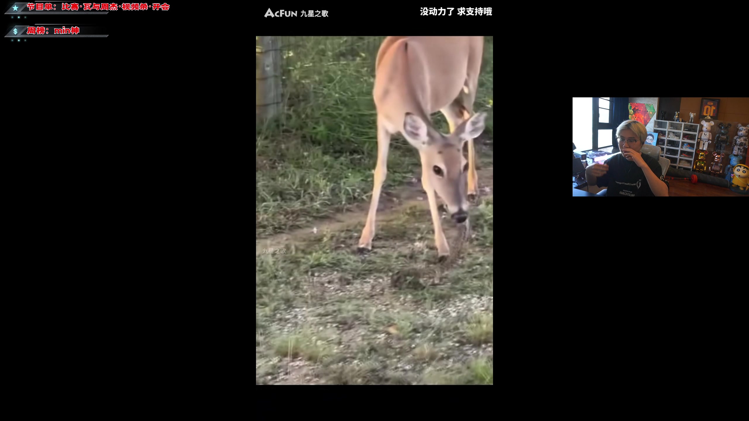 【2023-06-20 17点场】imxiaoxin：【✘-✘】黑白双撒