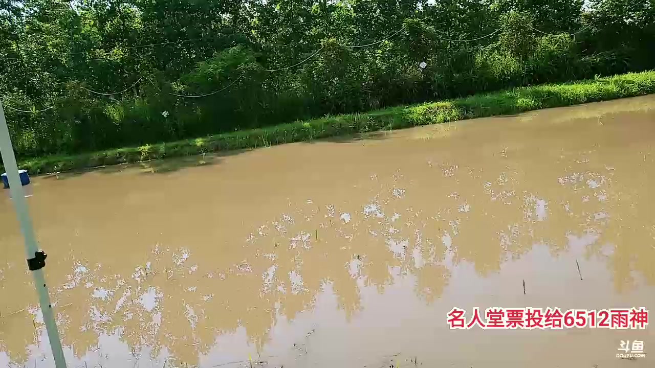 【2023-06-20 15点场】洪湖小肖：名人堂给6512雨神投票 337852
