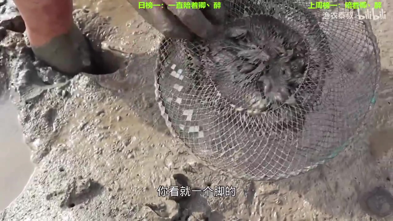 【2023-06-20 19点场】迷人的卿姐姐i：我回来啦~~~