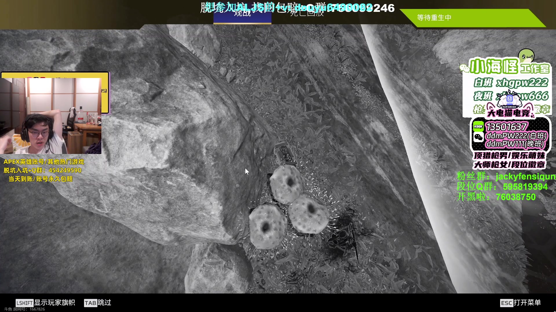 【2023-06-12 23点场】Jackyar：训练赛取消了，TnT