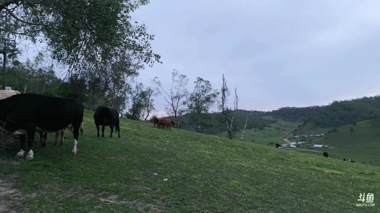 【2023-06-20 19点场】小甜甜Fairy：森林外的小鹿看花香漫步