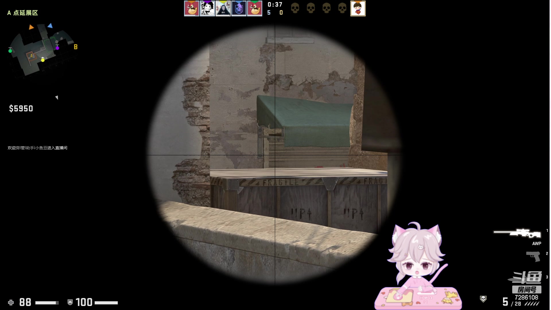 【2023-06-20 02点场】一只猛龙丶：你知道多拉贡吗？