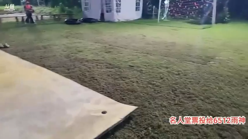 肖哥看女主播开始玩游戏了