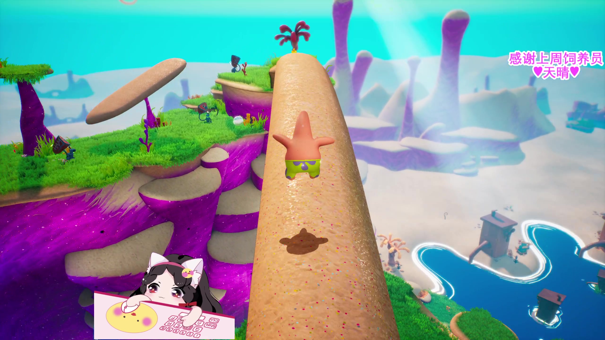 【2023-06-22 17点场】果小果是个弟弟：今天5点来具体看鱼吧～