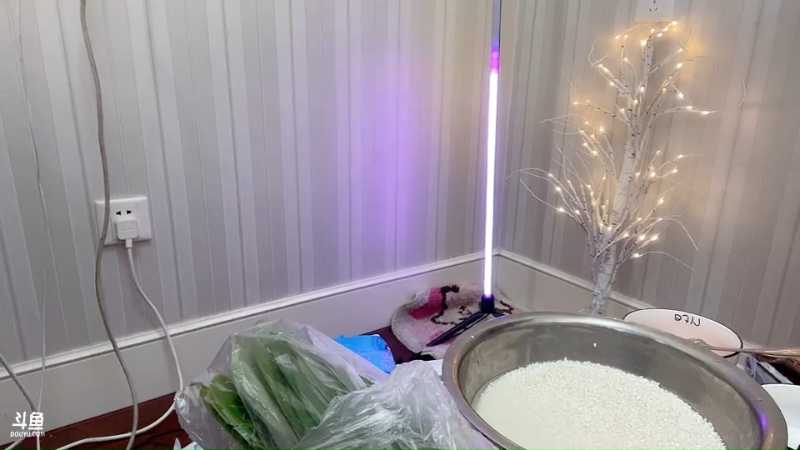 我在斗鱼看不2不叫周淑怡直播英雄联盟