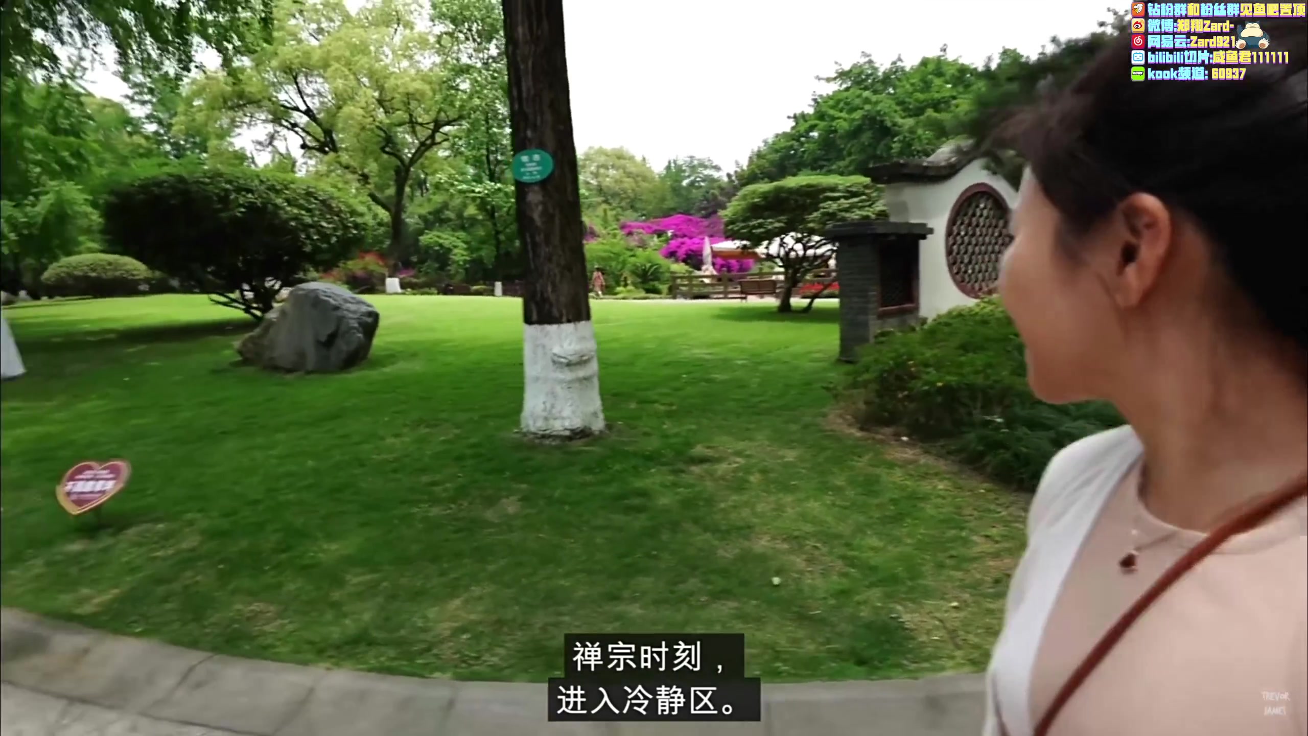 【2023-06-21 23点场】zard1991：zard1991 chill dude