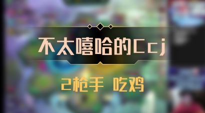 【不太嘻哈的Ccj】2枪手 吃鸡