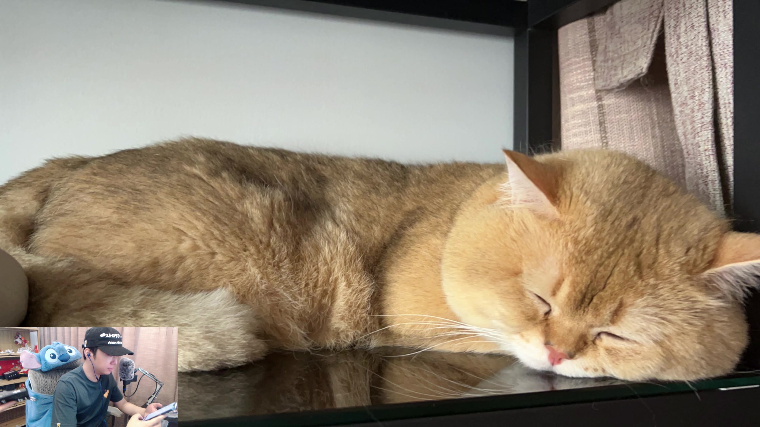 【2023-06-23 19点场】机长YG：【机长】超高清直播中！！