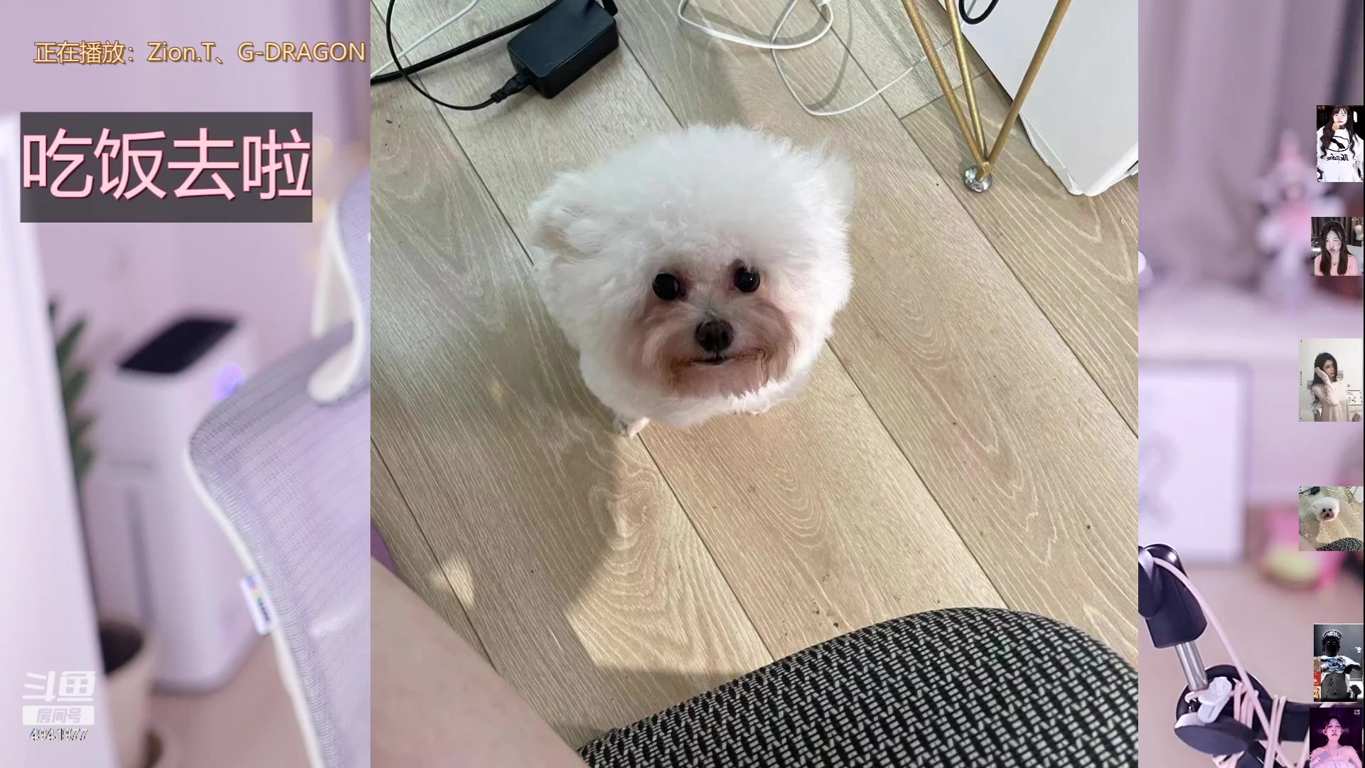 【2023-06-23 13点场】晒网的慧儿呀：;努力小狗在线打工