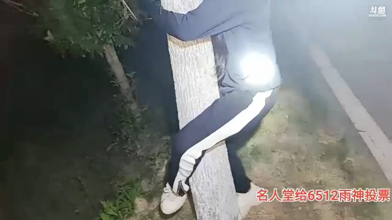 肖哥看咩咩爬树好搞笑，大家说太肥了