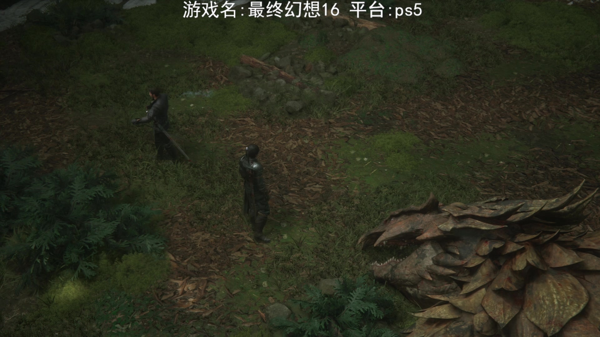 【2023-06-23 18点场】JyZhang：【Jy张】这个游戏真不错