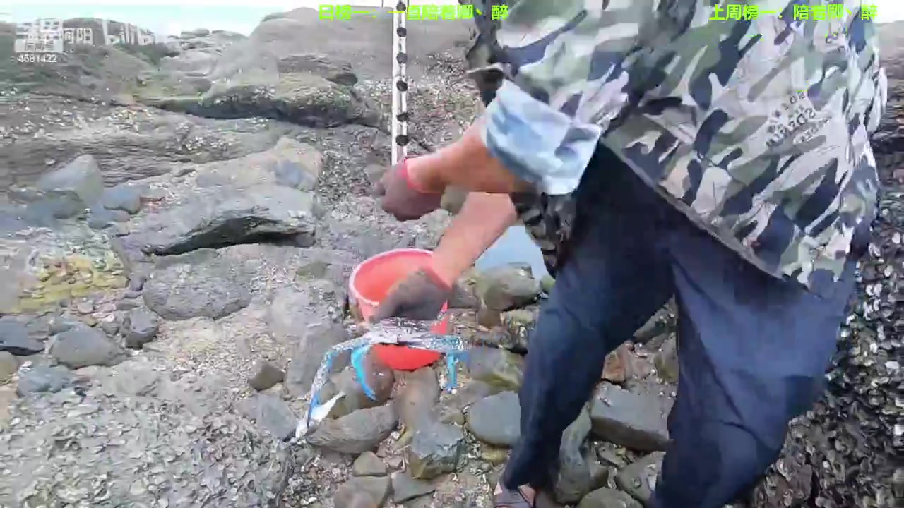 【2023-06-23 20点场】迷人的卿姐姐i：快乐的一天又开始啦~~~