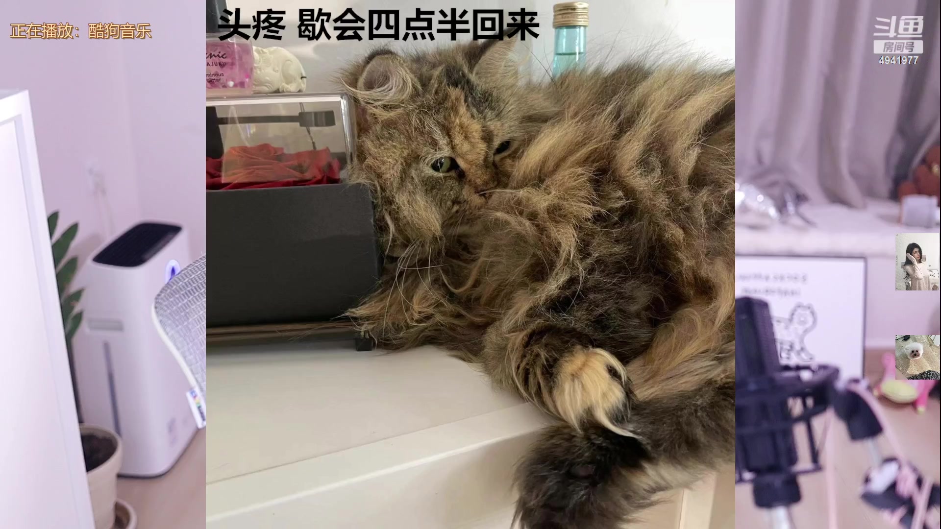 【2023-06-24 16点场】晒网的慧儿呀：;努力小狗在线打工