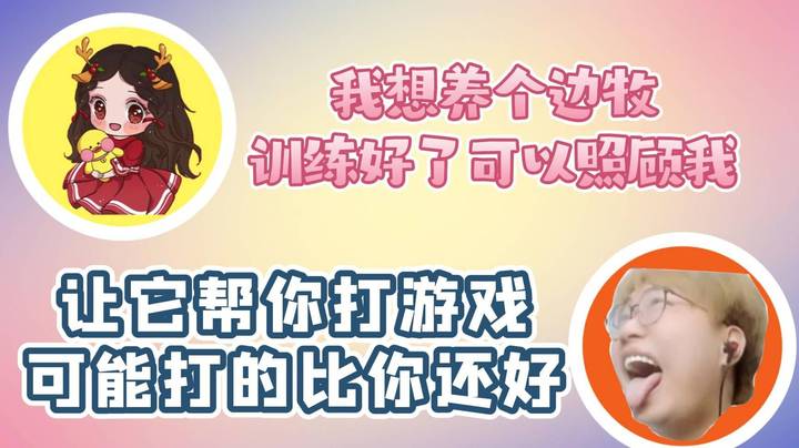 果小果：我想养个边牧  右手：它可能游戏打的比你还好
