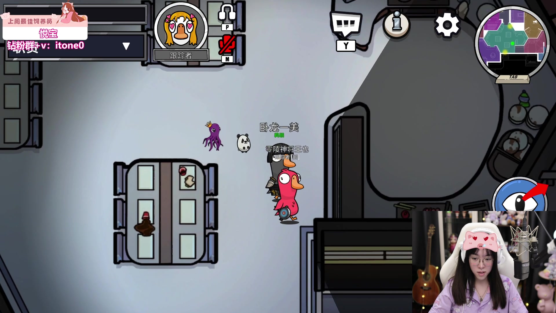 【2023-06-24 19点场】童猪啊i：黄金双倍）小猪时间到