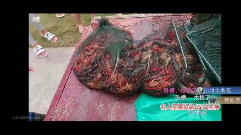 肖哥和女主播讨论小龙虾案，到底谁干的