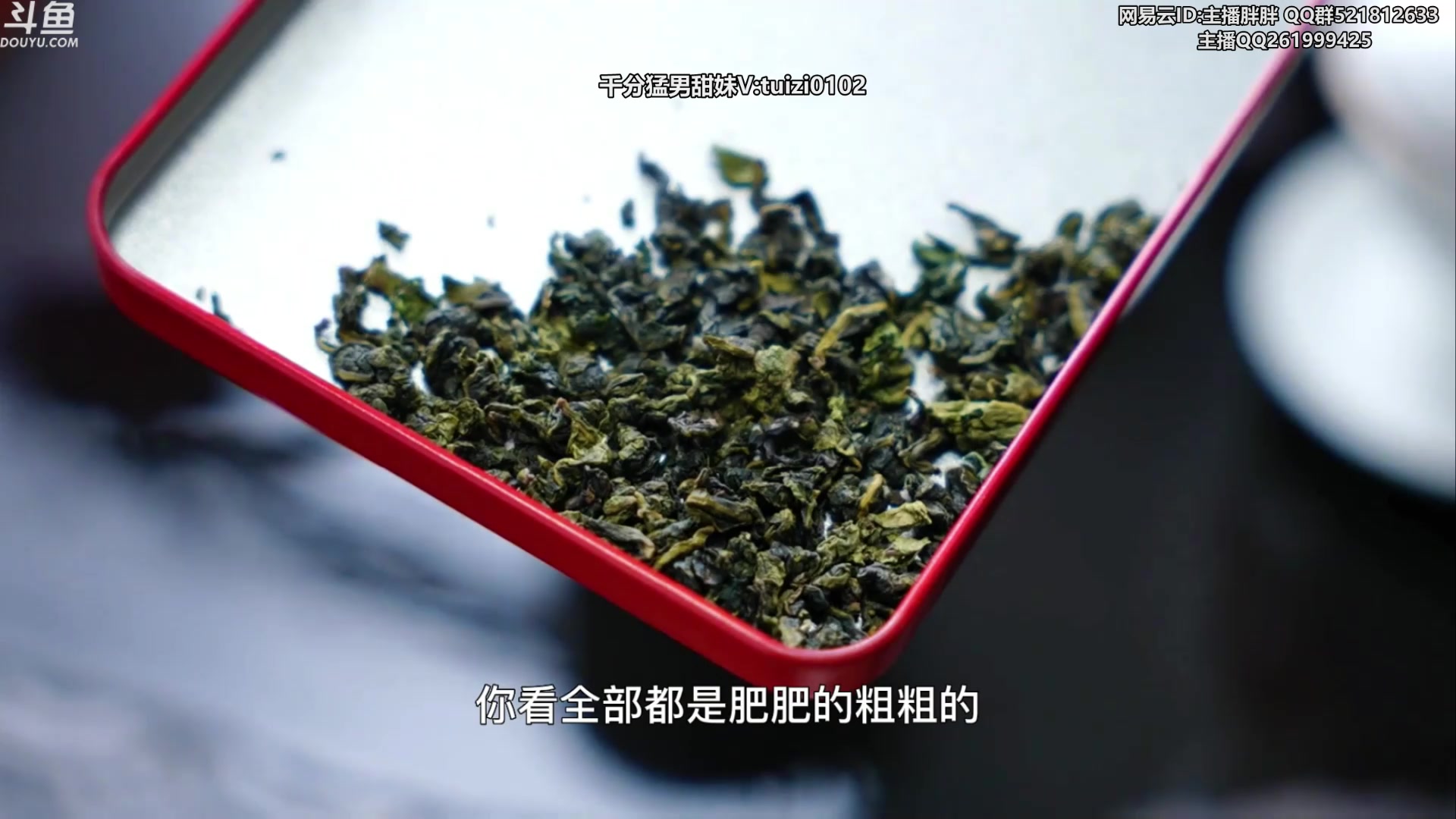 【2023-06-25 03点场】胖胖灬：胖胖OB：BLG强啊，神通宵排位！