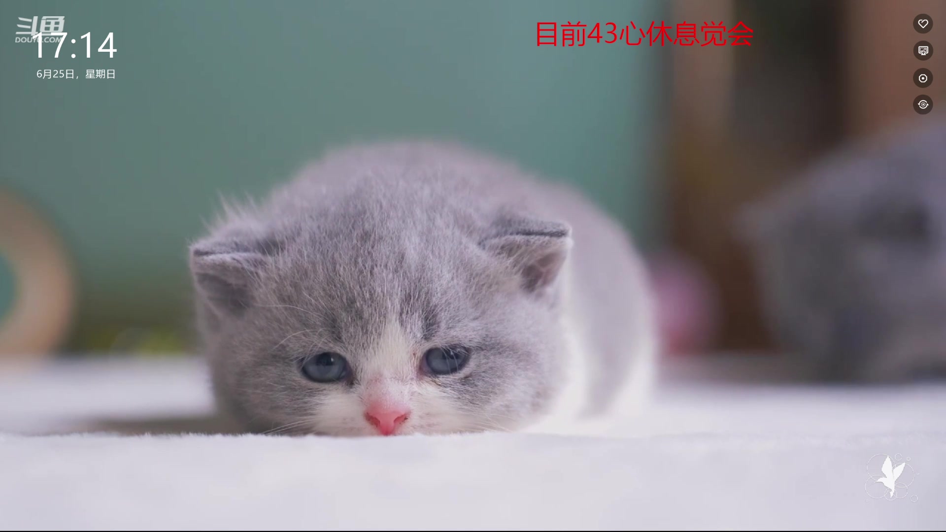 【2023-06-25 16点场】冠磊崽：（钻石双倍）14心冲击荣耀不上不下播