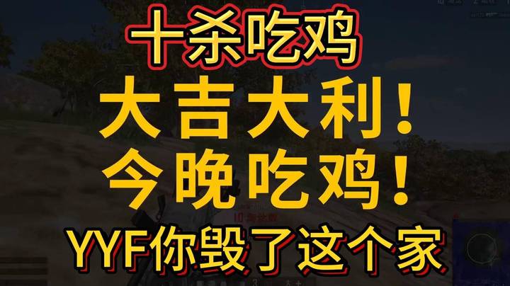 2023年6月23日下午16点42分46秒YYF十杀吃鸡 一把+30分