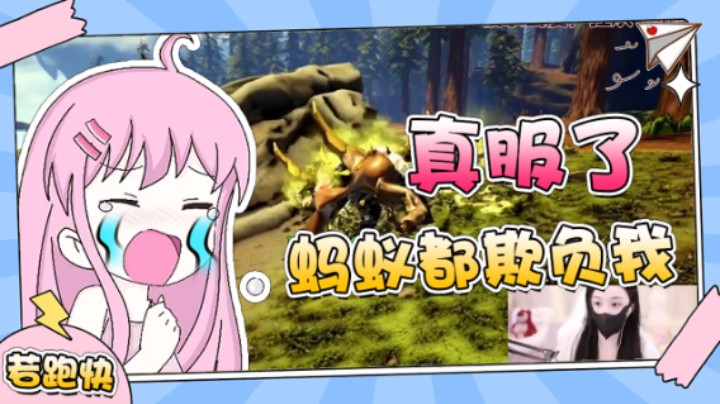 真服了 蚂蚁都欺负我