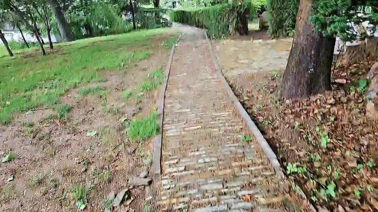 【2023-06-26 15点场】赛文柒Seven：大连，第二天海洋公园