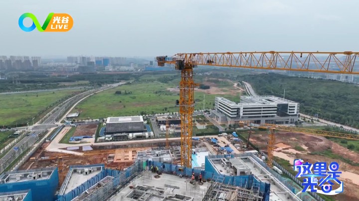 20230626这里是光谷