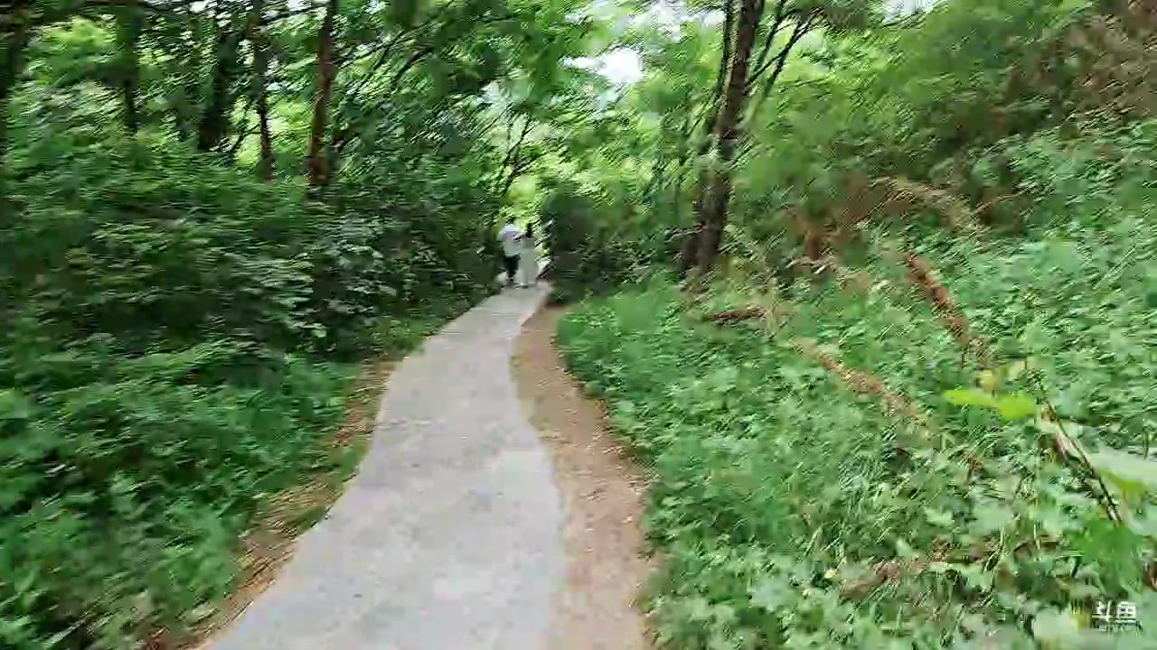 【2023-06-25 17点场】赛文柒Seven：到达大连，第一天