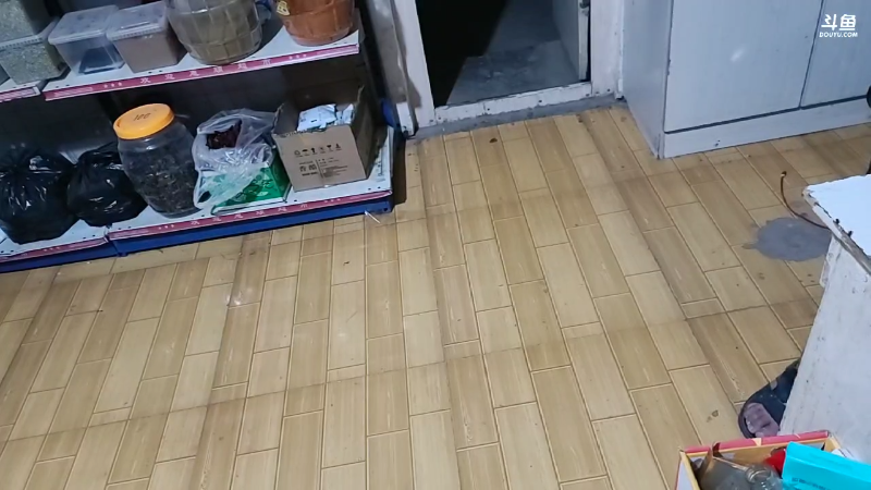 【户外】火力堂主的精彩时刻 20230627 00点场