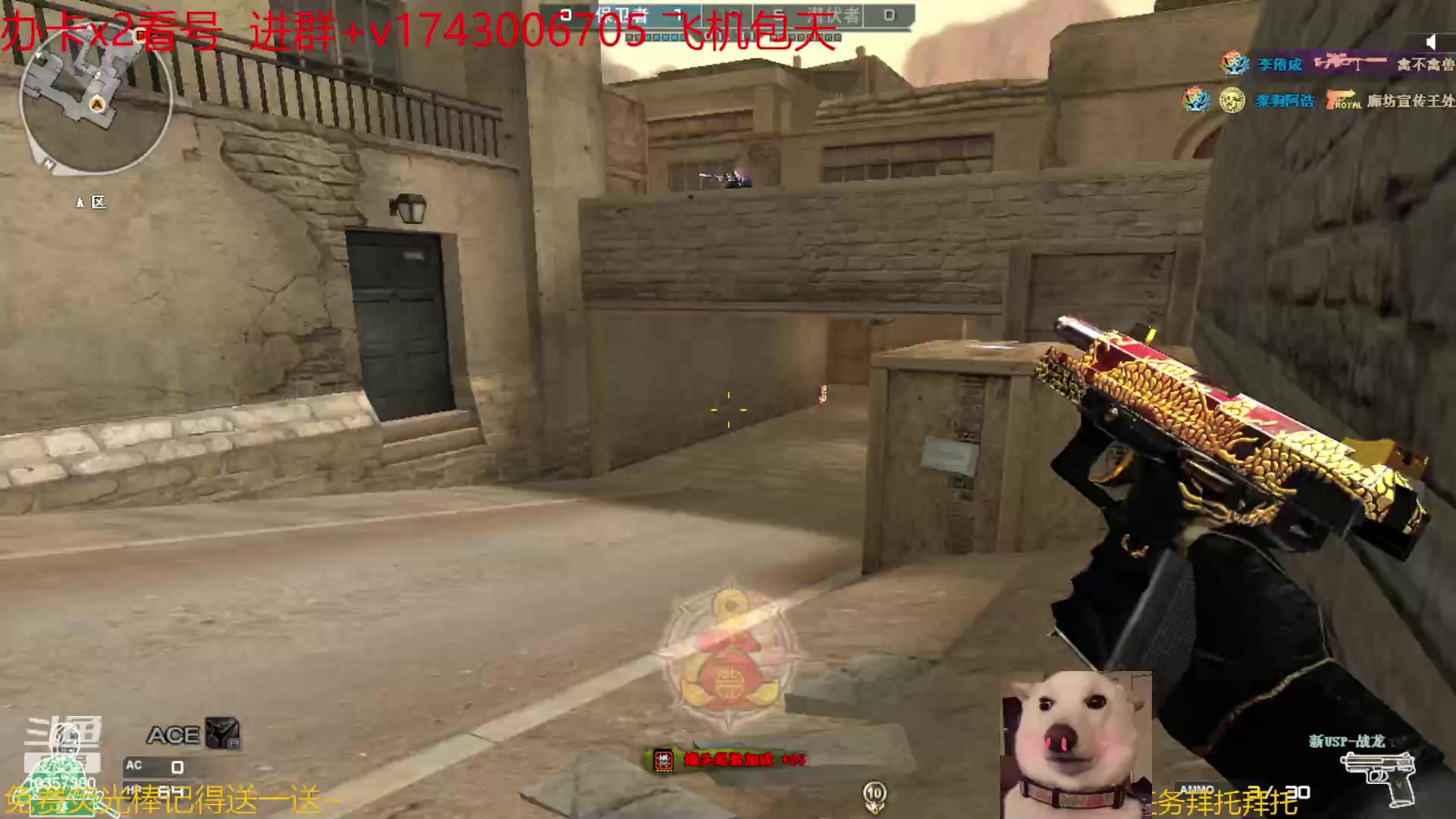 【2023-06-22 14点场】是猫咪吖丶：打起来 么么哒