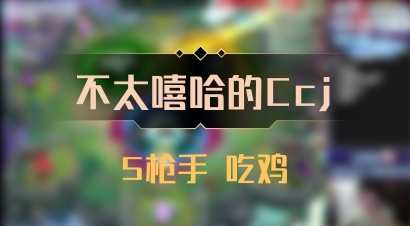 【不太嘻哈的Ccj】5枪手 吃鸡