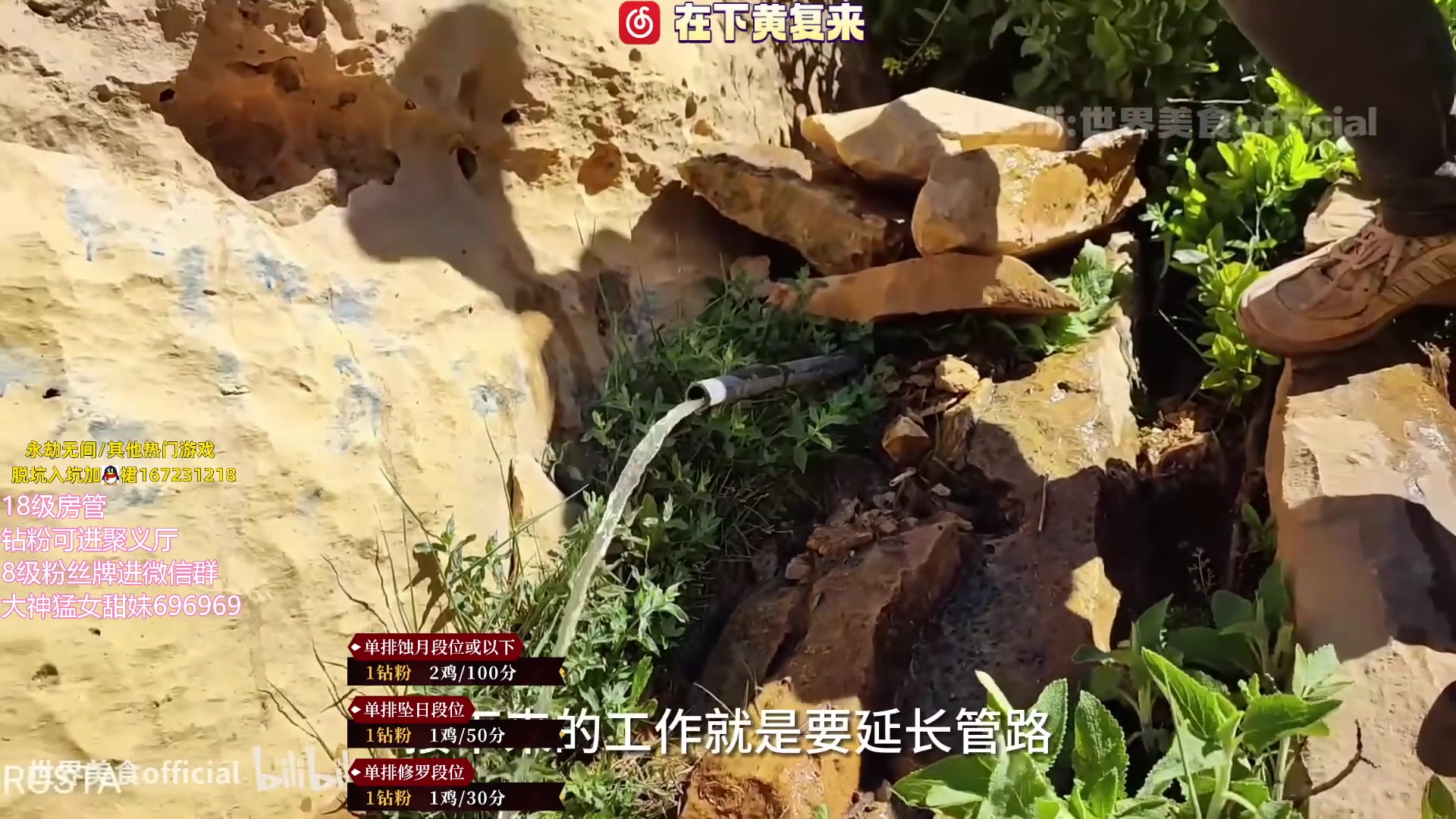 【2023-06-27 18点场】在下黄复来：【黄复来】钻粉打号啦！