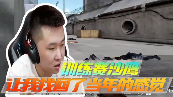 【年鹏Enpi】训练赛沙鹰，让我找回了当年的感觉