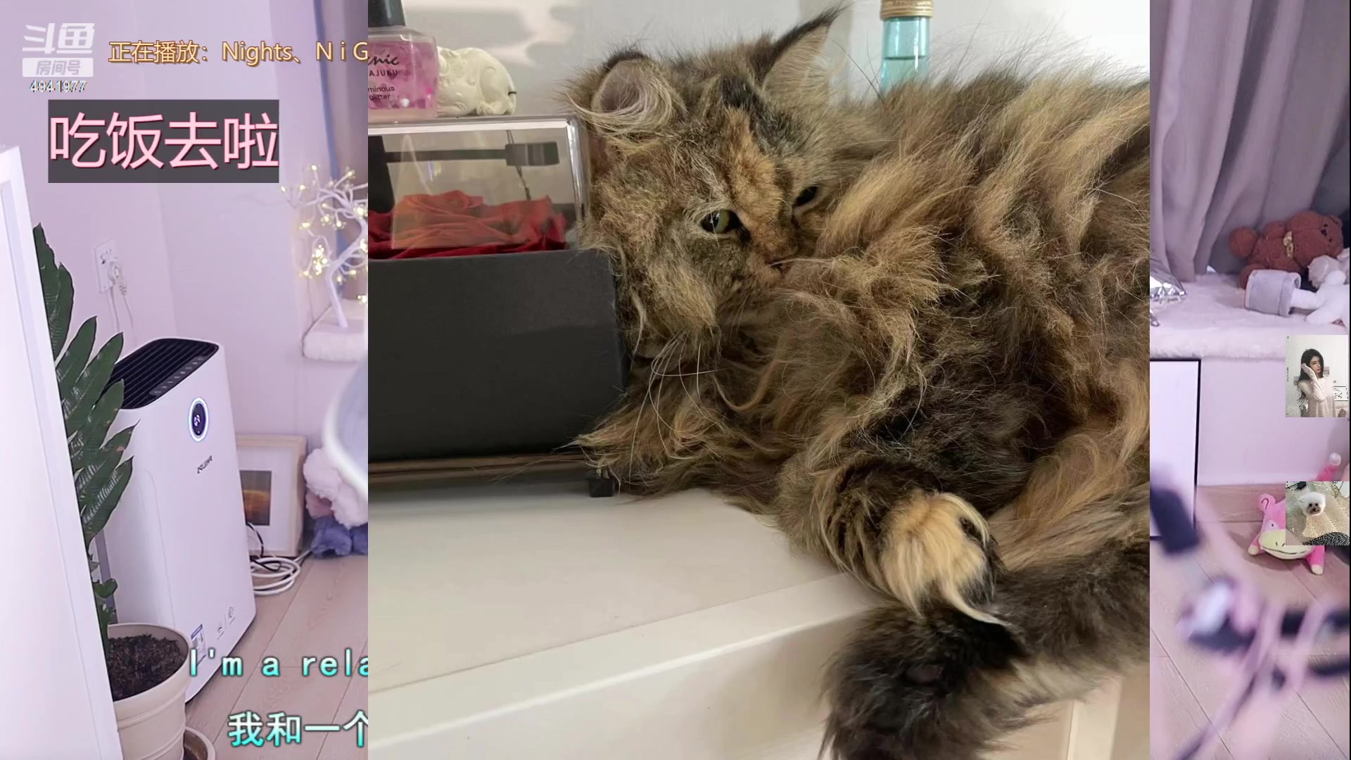 【2023-06-27 14点场】晒网的慧儿呀：;努力小狗在线打工