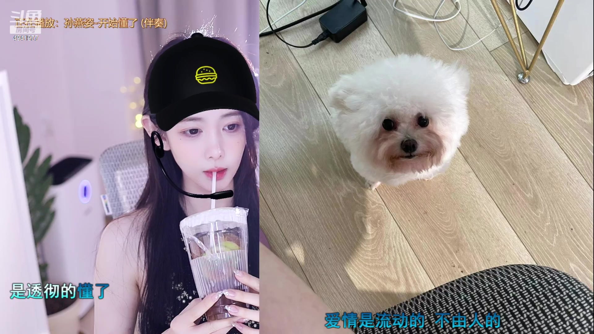 【2023-06-27 18点场】晒网的慧儿呀：;努力小狗在线打工