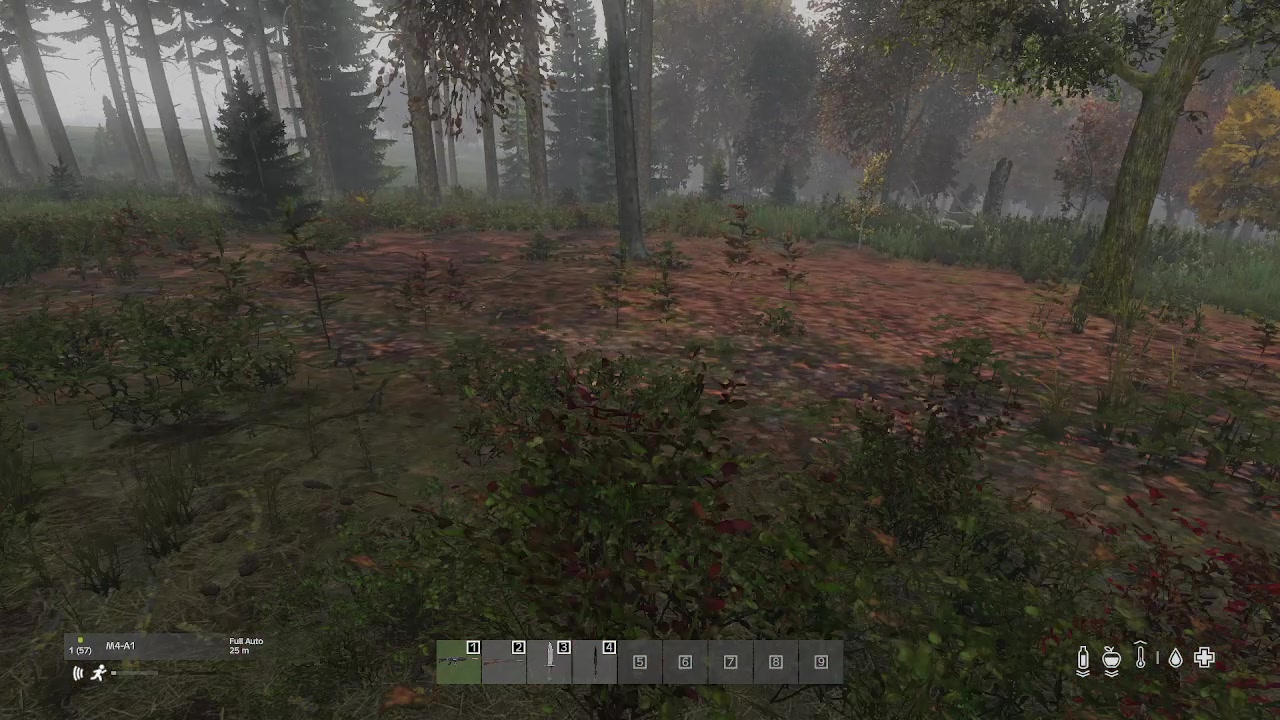 【2023-06-28 18点场】dayz韩爱东西：老韩教你怎么在末日生存