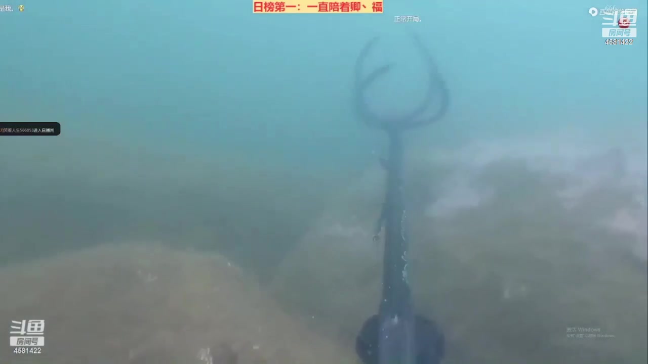 【2023-06-25 20点场】迷人的卿姐姐i：快乐的一天又开始啦~~~