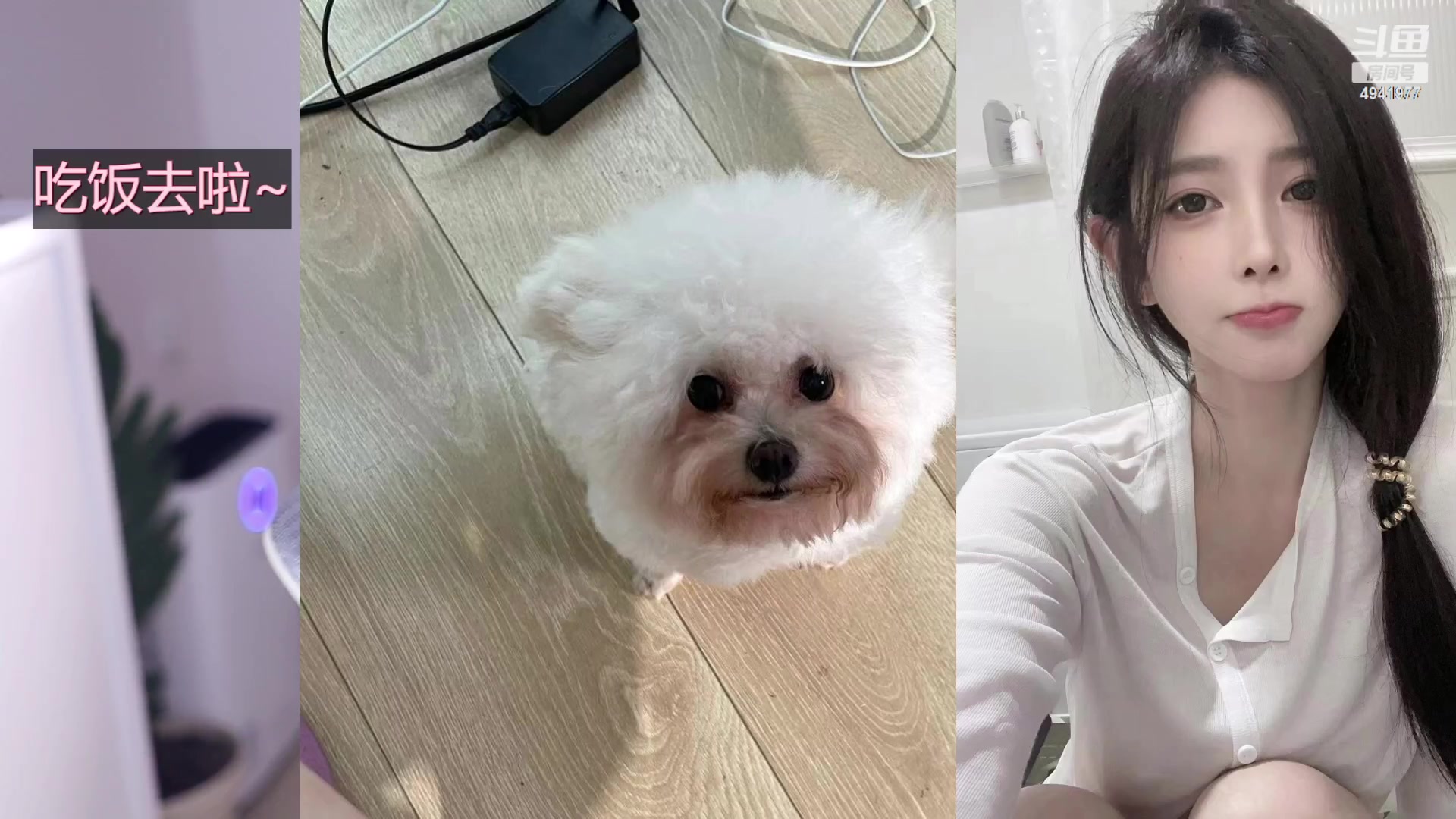 【2023-06-28 14点场】晒网的慧儿呀：;努力小狗在线打工