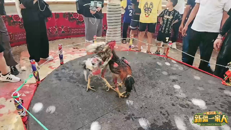 【星秀】王雨檬呀的精彩时刻 20230628 16点场