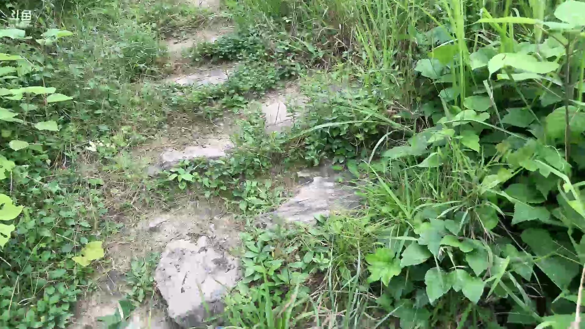 【2023-06-29 16点场】峡谷杀神酱油瓶：激情漂流！