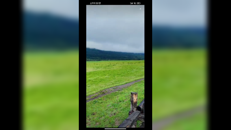 新疆喀纳斯美景，今天6月29最高才13度，还是冷啊