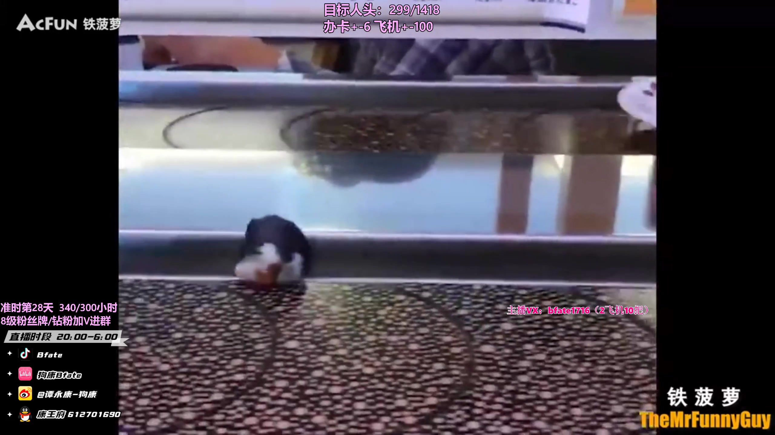 【2023-06-29 18点场】狗康Bfate丶：第一皎月，砍人头数不完成不下播