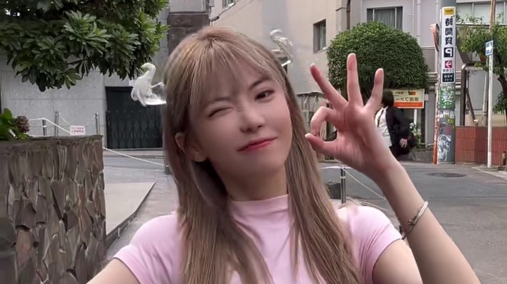 笨蛋美女