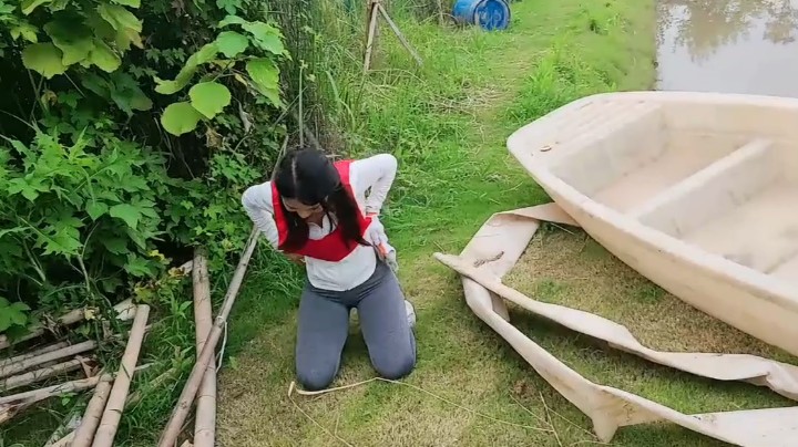 母羊咩撕掉吴婷