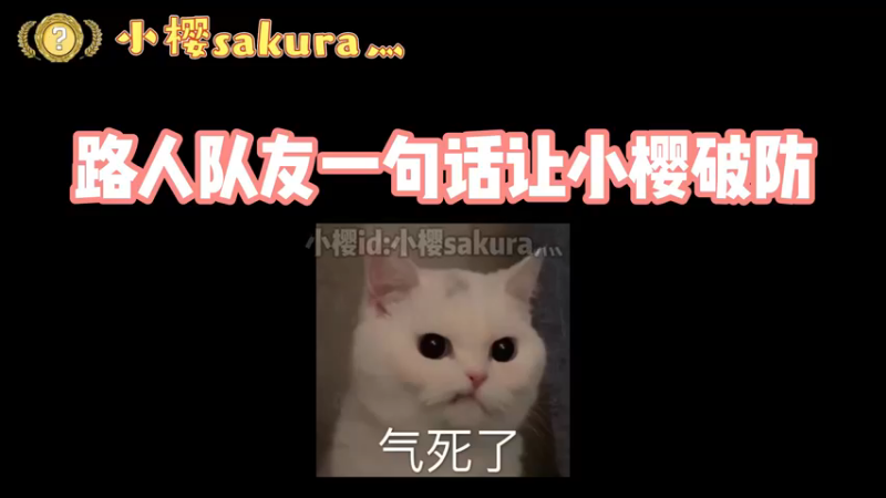 【小樱】路人队友一句话让小樱破防