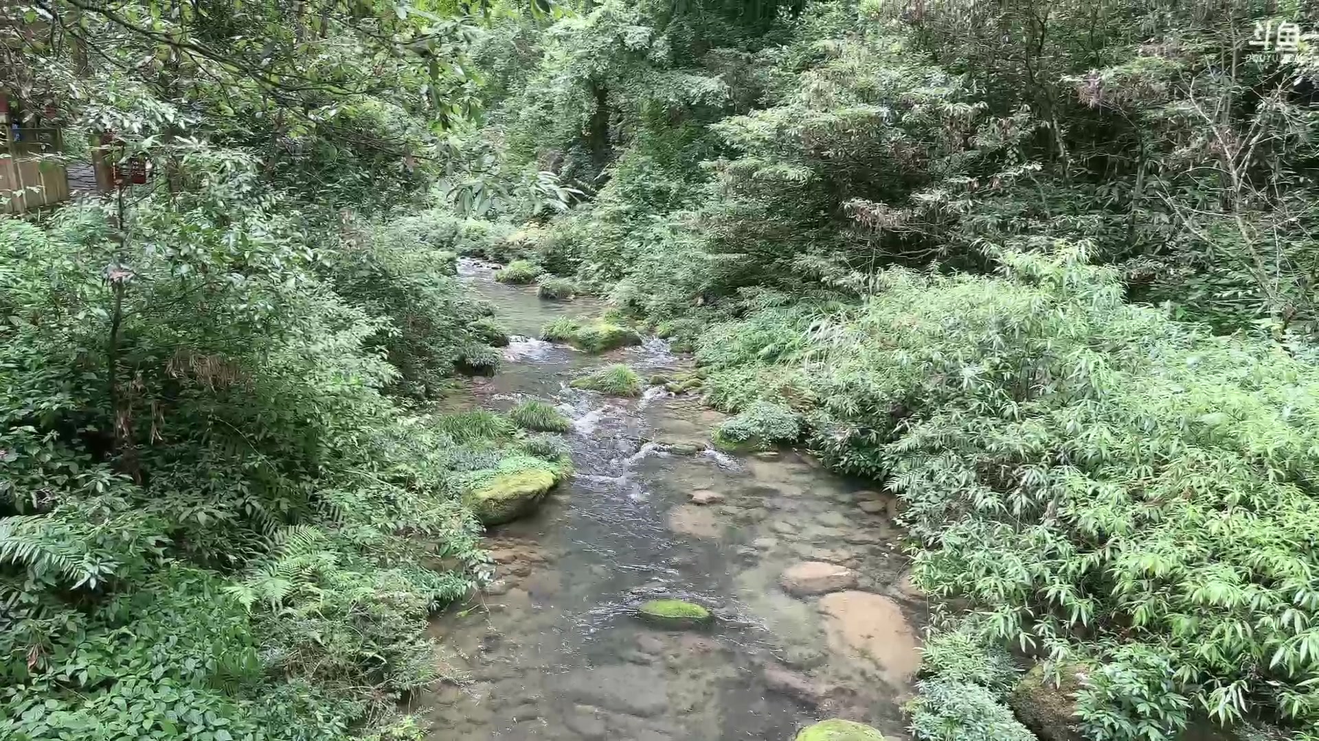 【2023-07-02 13点场】峡谷杀神酱油瓶：最后一天张家界大峡谷！
