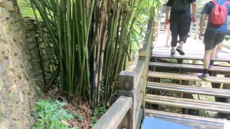 【2023-07-02 14点场】峡谷杀神酱油瓶：最后一天张家界大峡谷！