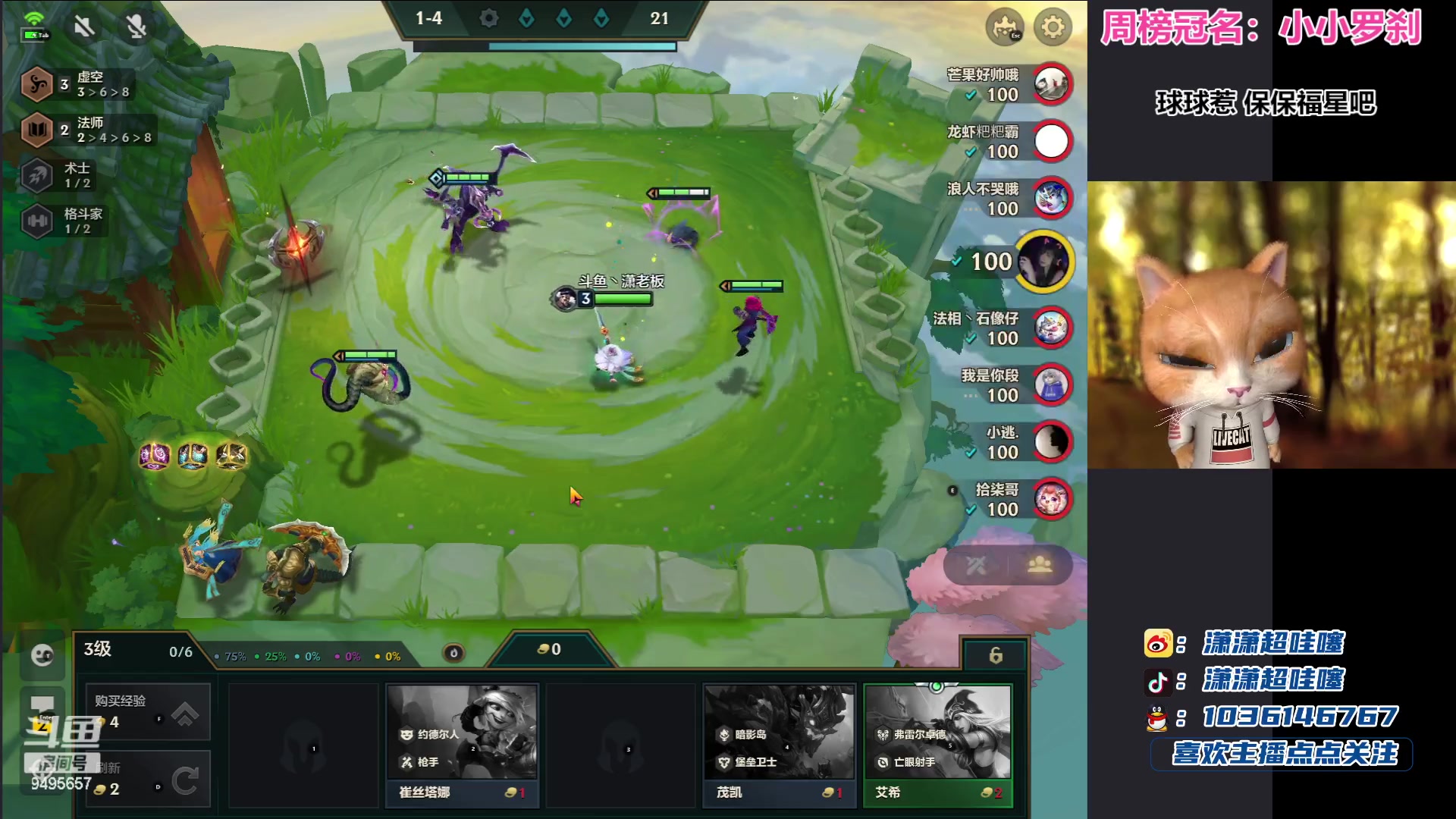 【2023-07-02 19点场】潇潇超哇噻：冷门上分版本答案 速来