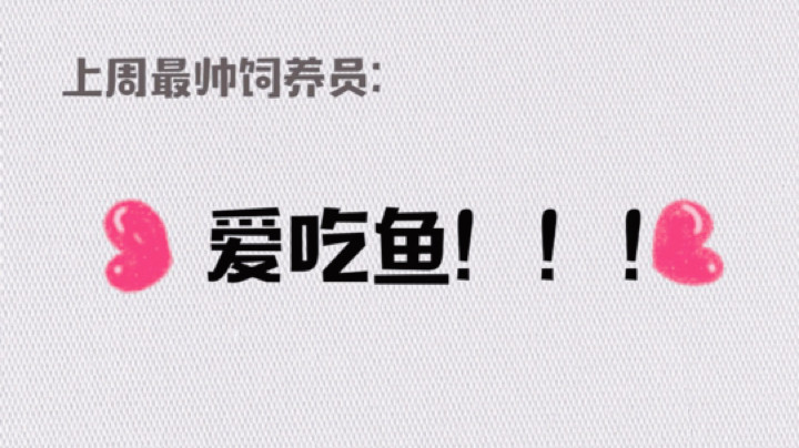 周榜来咯～
最帅饲养员：爱吃鱼！
蟹蟹大家对琳子的爱！
保护费收到啦，有事抱我名字！！